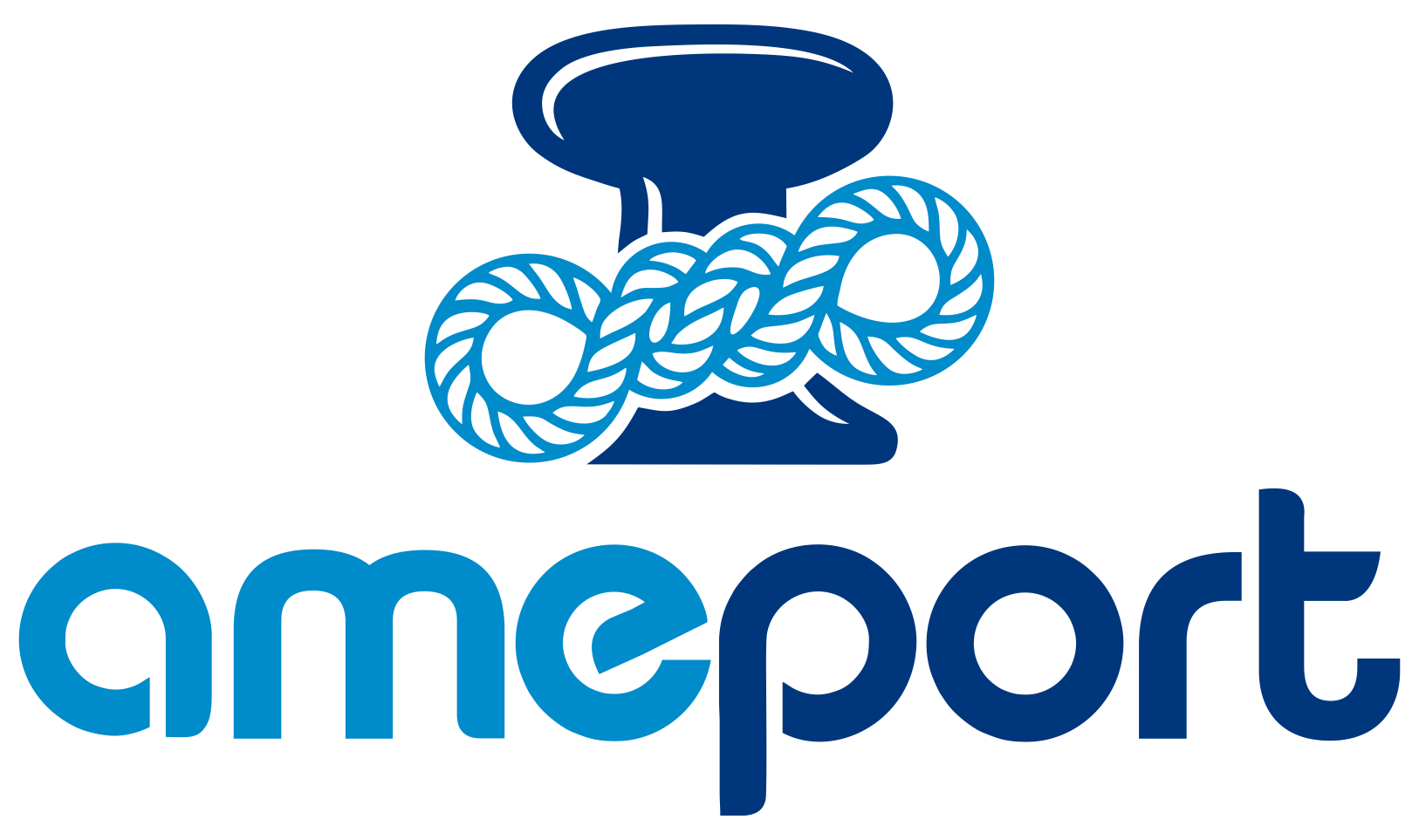 AMEPORT